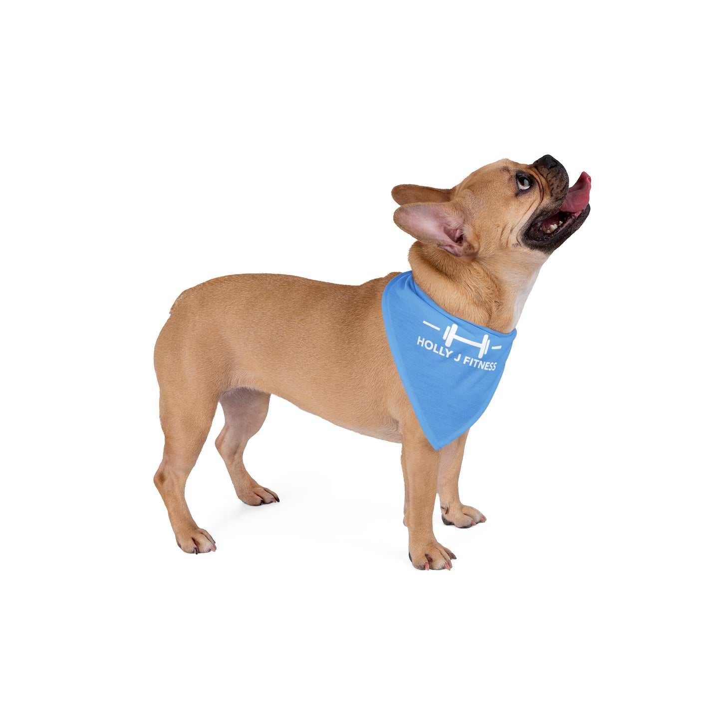 HJF Dog Bandana